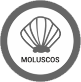 Mariscos – Restaurante Vilarosa